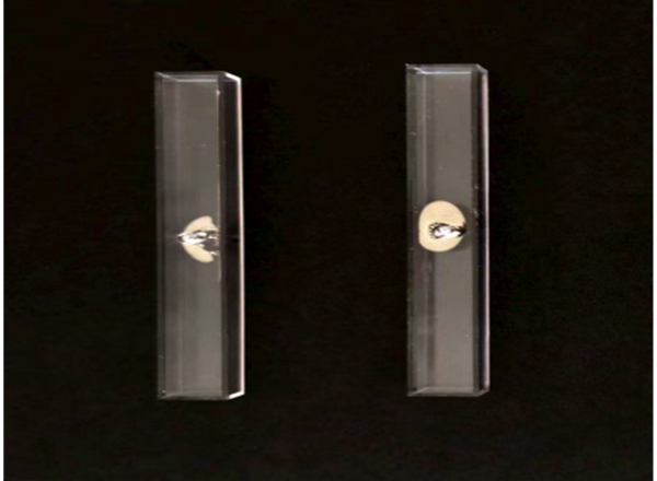 10×10×100mm原子气室